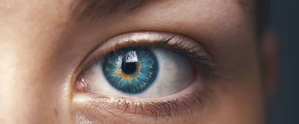 Vitamin A, das &laquo;das Augenvitamin&raquo;